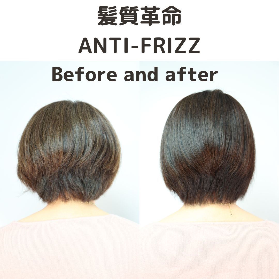 髪質革命アンチフリッツB＆A